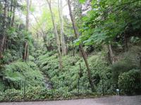 Tremezzo-Villa Carlotta