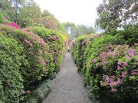 Tremezzo-Villa Carlotta