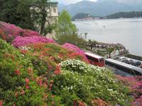 Tremezzo-Villa Carlotta