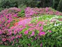 Tremezzo-Villa Carlotta