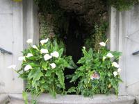 Tremezzo-Villa Carlotta