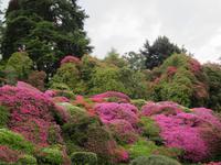 Tremezzo-Villa Carlotta