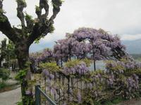 Tremezzo-Villa Carlotta