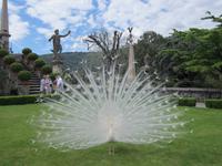 Lago Maggiore-Borromäische Inseln