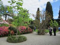 Lago Maggiore-Borromäische Inseln