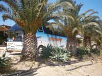 Schattiges Plätzchen für unseren Bus