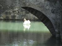 Stadtrundgang in Brixen