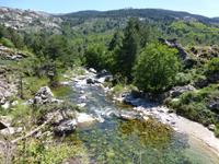 Golo - längste Fluss Korsika