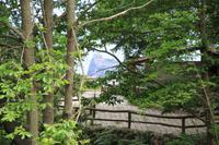 Durchblick unterwegs zum Castello Aragonese