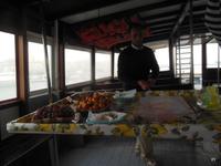 auf dem Schiff in Syrakus 