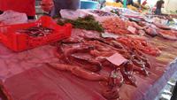 in Catania auf dem Fischmarkt