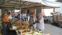 in Catania auf dem Fisch-und Obst-Gemüse-Markt 