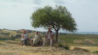 Agrigent-im Tal der Tempel unterm Olivenbaum beim Rasten 