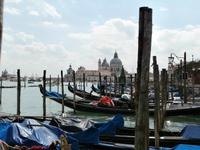 Blick auf  Dogana da Mar-Santa Maria della Salute
