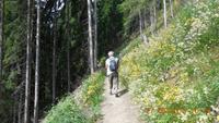 Wanderung im Ultental