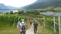 Wanderung zum Montiggler See