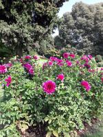 63_Park_Sigurtà