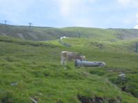 Wanderung auf der Plose