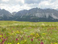 Wanderung auf der Plose