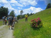 Wanderung auf der Plose