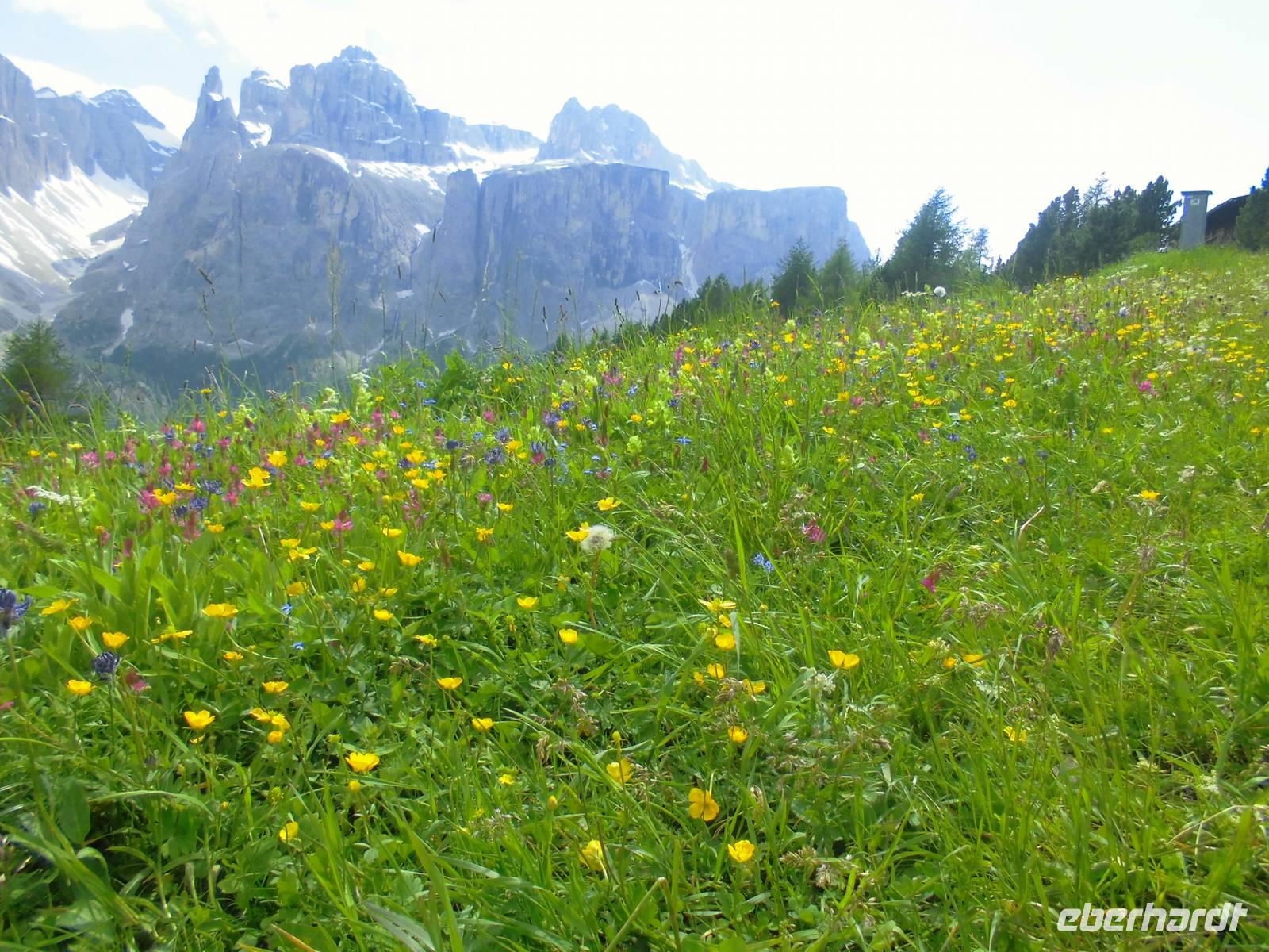 Vom Grödner- ins Gardertal