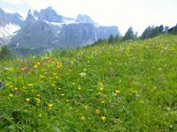 Vom Grödner- ins Gardertal