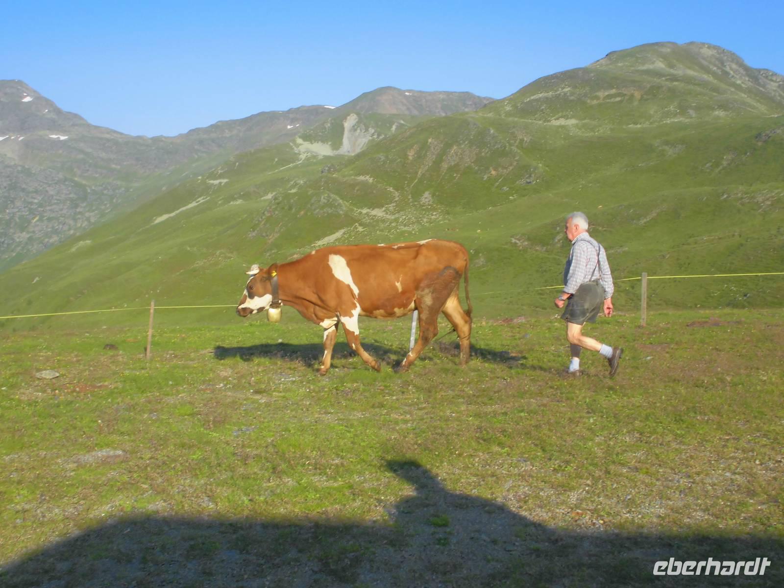 Wanderung auf die Tatschspitze