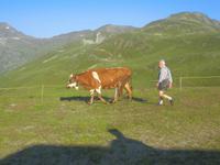 Wanderung auf die Tatschspitze