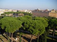 Rom ist gruen