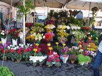 am Campo di Fiori