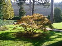 unterwegs in den Vatikanischen GÃ€rten