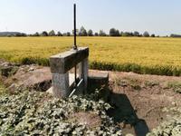 beim Reisbauern Tenuta Castello Desana