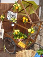 Zitronengestecke von Alberto