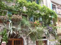 Blütenpracht an den Häusern