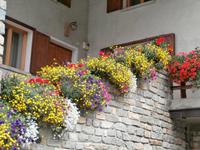 Blumenschmuck in Cogne
