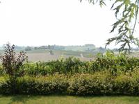 Castello Razzano in Alfino Natta-Weinberge