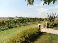 Castello Razzano in Alfino Natta-Weinberge