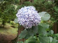 Botanische Gärten der Villa Taranto in Intra