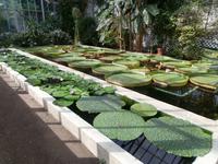 Botanische Gärten der Villa Taranto in Intra