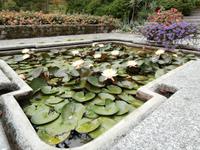 Botanische Gärten der Villa Taranto in Intra