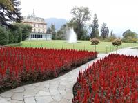 Botanische Gärten der Villa Taranto in Intra