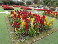 Botanische Gärten der Villa Taranto in Intra