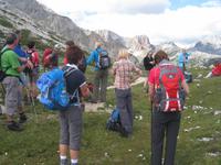 Rast unterhalb der Hohen Gaisl