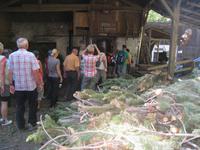 Latschkiefen Destillerie