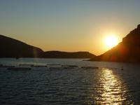 Muschelzucht vor Sardinien