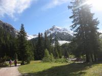 Auf dem Weg zur Gampenalm