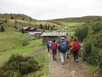 ... gleich sind wir an der Arnikahütte