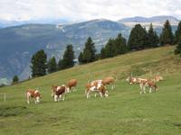 ... auch hier gibt es 