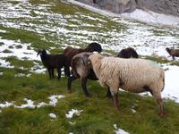 Impressionen am Plattkofel