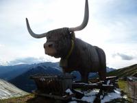 Hütte mit Kuh am König-Friedrich-August-Höhenweg